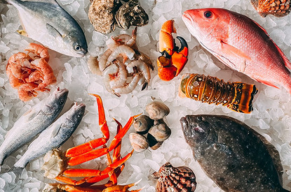 Атлантический тунец и еще 7 видов рыбы, которую не стоит есть