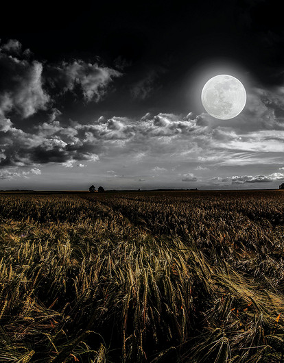 Как период Белой Луны в Водолее отразится на разных знаках зодиака