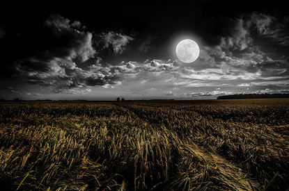 Как период Белой Луны в Водолее отразится на разных знаках зодиака