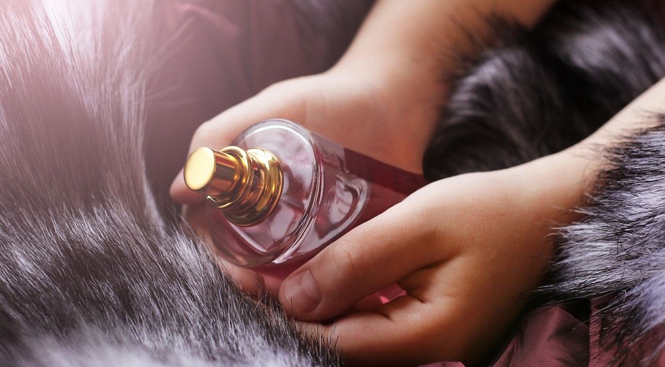 Дурно пахнет: как понять, что твой парфюм испорчен