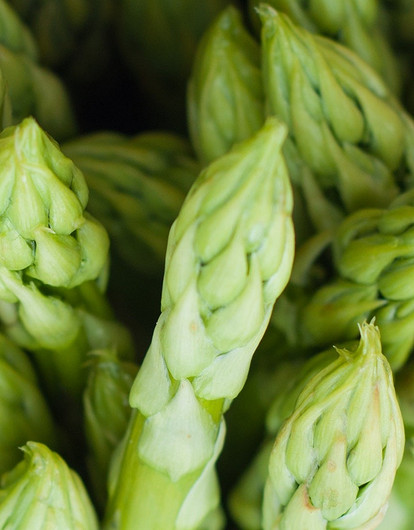 Спаржа, свекла и еще 5 овощей, которые нельзя есть сырыми