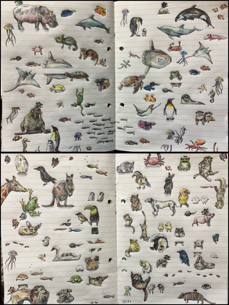 Японская художница из-за ретвитов должна нарисовать 22 тысячи животных