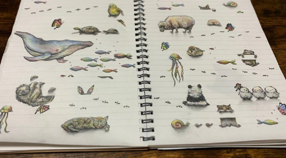 Японская художница из-за ретвитов должна нарисовать 22 тысячи животных