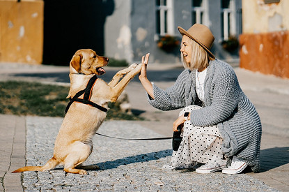 Домашние животные замедляют снижение памяти у своих хозяев