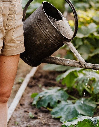 Почему не всходят семена: 5 возможных причин