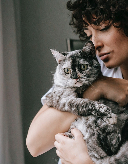 Замурчательно: ученые рассказали, как правильно гладить кошку (видео)