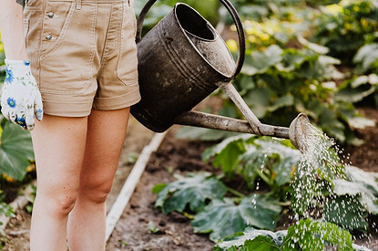 Почему не всходят семена: 5 возможных причин