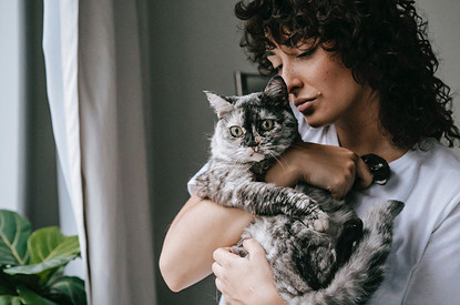 Замурчательно: ученые рассказали, как правильно гладить кошку (видео)