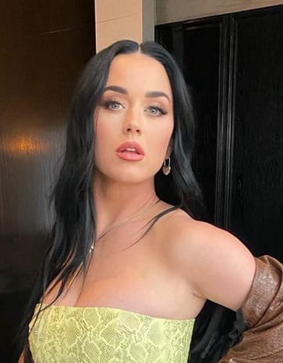 В Сети обсуждают вторую беременность Кэти Перри