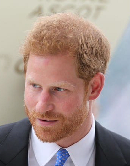 «Он постоянно перепроверяет написанное»: принц Гарри выпустит мемуары о жизни в королевской семье