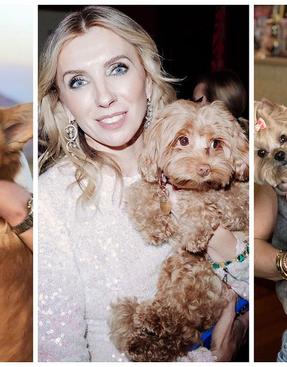 Лазарев, Бузова и другие звезды с домашними животными