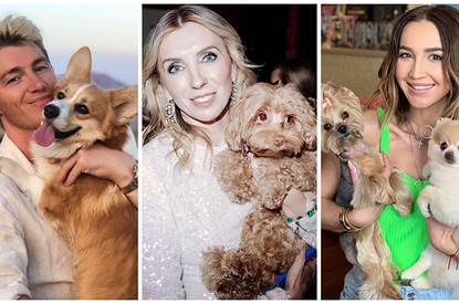 Лазарев, Бузова и другие звезды с домашними животными