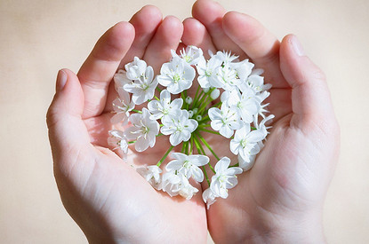 Солнцу навстречу: гороскоп для всех знаков зодиака с 11 по 17 апреля