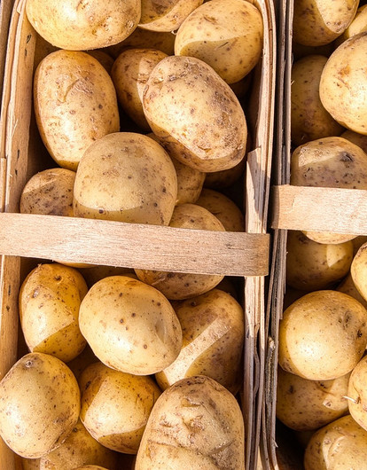 Пойдем сажать картошку: 8 самых урожайных сортов