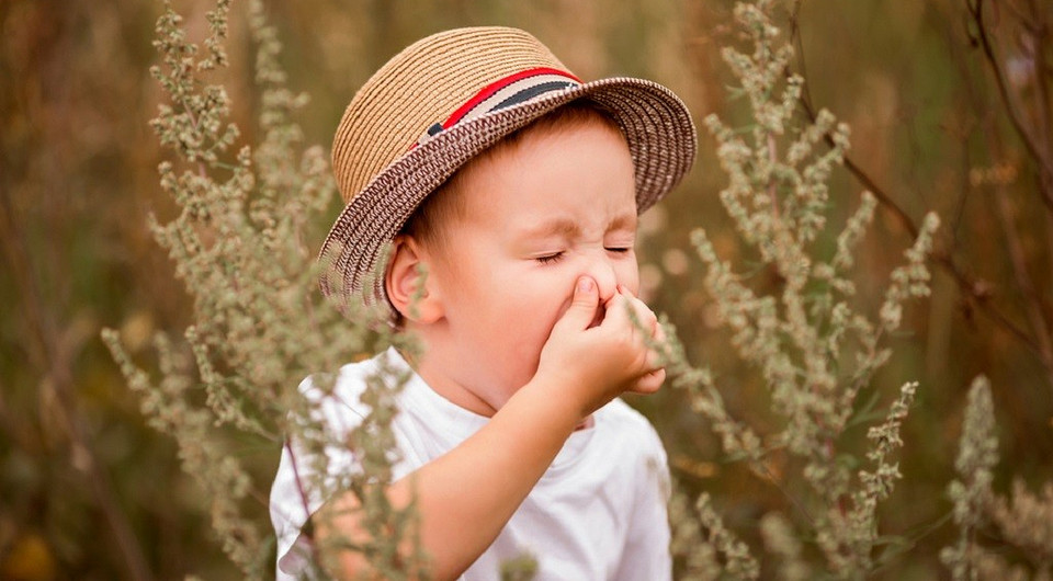 Сезонная аллергия у ребенка: как уберечь малыша от пыльцы