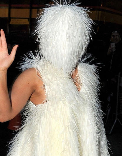 От лебединых перьев до платья-матки: самые нелепые наряды звезд