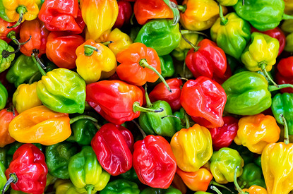 Посадка перца на рассаду и пикировка: самые благоприятные дни в 2022 году