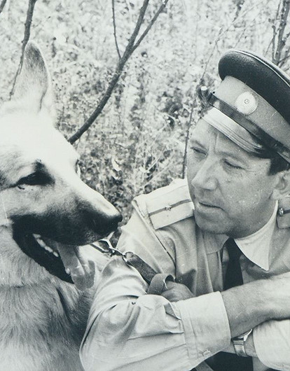 «Ко мне, Мухтар»: 8 пород собак, которые были популярны в СССР