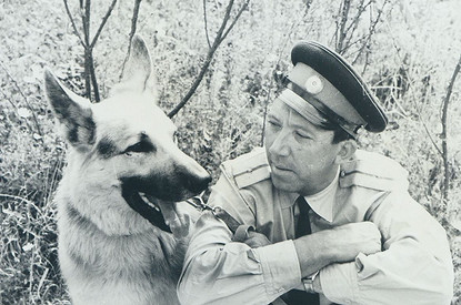 «Ко мне, Мухтар»: 8 пород собак, которые были популярны в СССР