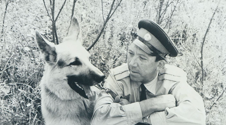 «Ко мне, Мухтар»: 8 пород собак, которые были популярны в СССР