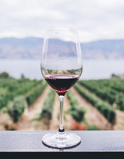 Напьемся своим: 9 лучших вин российского производства