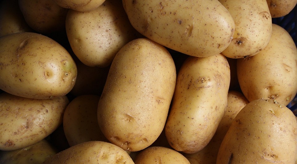 От чистки обуви до мытья окон: 10 неожиданных способов применения картофеля в быту
