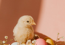 Почти Фаберже: 18 интересных идей, как покрасить яйца на Пасху (и как варить, чтобы не треснули)