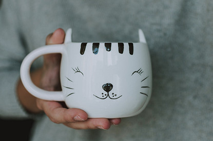 «Мурка, ты одна меня понимаешь»: о чем говорить с кошкой и как определить, что она отвечает