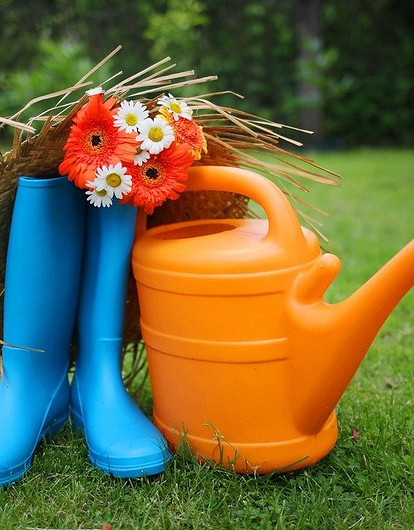 Дачные сюрпризы: 5 новых запретов и бонусов для садоводов