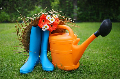 Дачные сюрпризы: 5 новых запретов и бонусов для садоводов