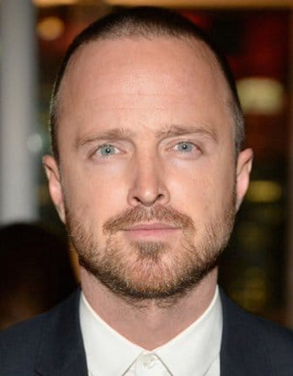 У звезды сериала «Во все тяжкие» Аарона Пола родился сын