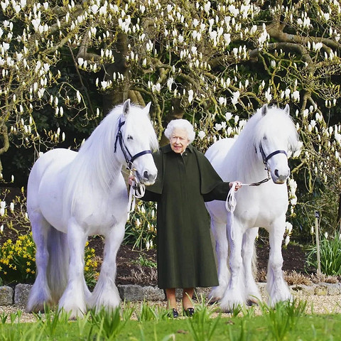 Елизавета II позирует с любимыми пони на снимке в честь своего 96-летия