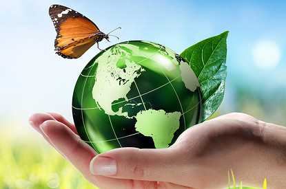 Перейти на зеленый: простые эко-привычки, которые сделают твою жизнь лучше, а природу — чище