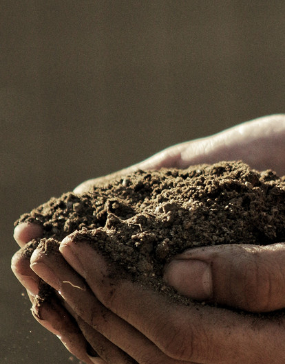 Больше 40 народных примет на урожай в России