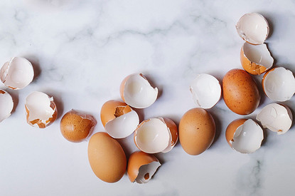 Как и зачем использовать яичную скорлупу на даче: 6 лайфхаков