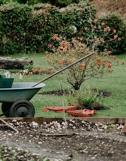 Сверху виднее: 5 знаков зодиака, у которых врожденный талант к садоводству