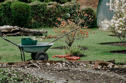 Сверху виднее: 5 знаков зодиака, у которых врожденный талант к садоводству