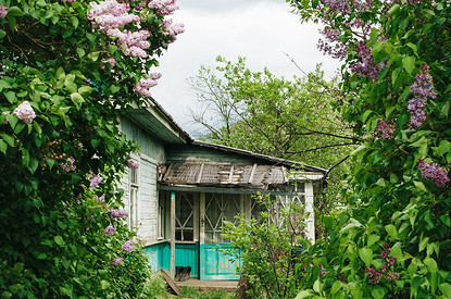 «Представляла, что лопатой разбиваю головы зомби»: истории, которые произошли на огороде или даче