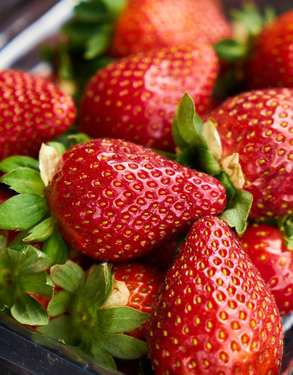 Чем подкормить садовую клубнику: 14 удобрений для хорошего урожая