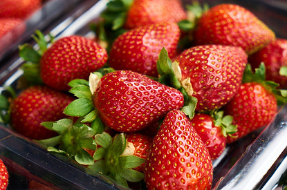 Чем подкормить садовую клубнику: 14 удобрений для хорошего урожая