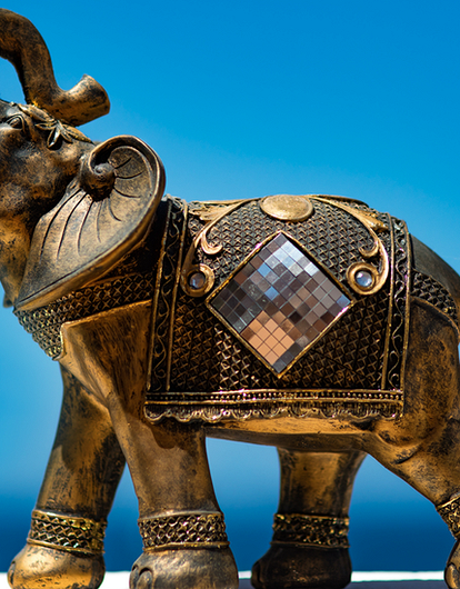 Слон у входа, тигр в кабинете: как увеличить доход и поймать удачу, расставив статуэтки по фэн-шую