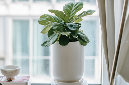 7 вещей, которые лучше не держать на подоконнике (и почему)