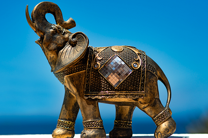 Слон у входа, тигр в кабинете: как увеличить доход и поймать удачу, расставив статуэтки по фэн-шую