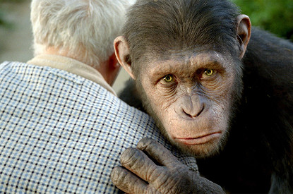 Оспа обезьян: чем отличается от обычной, как проявляется и как не заболеть