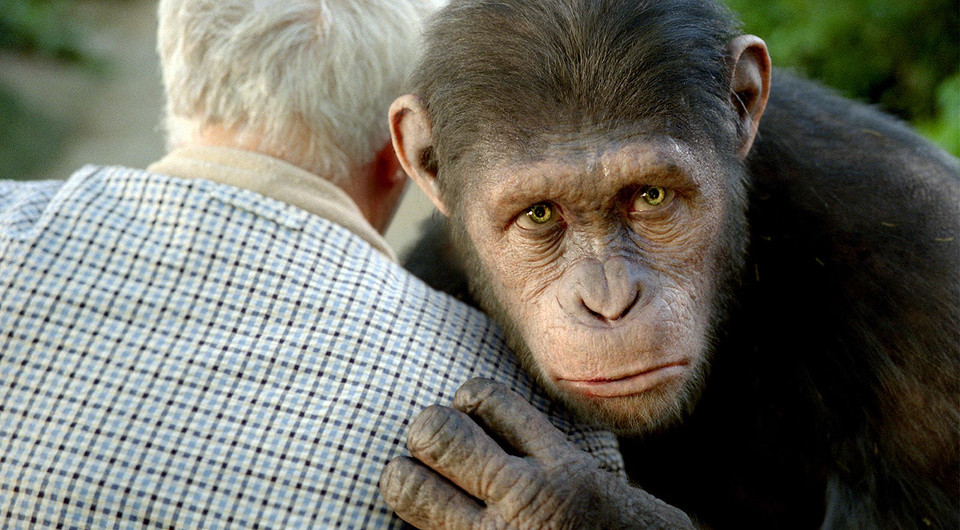 Оспа обезьян: чем отличается от обычной, как проявляется и как не заболеть