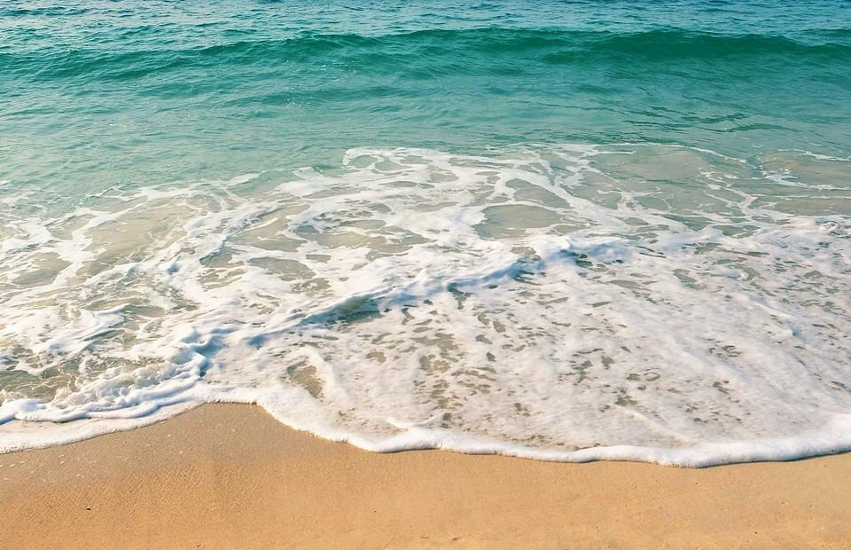 5 опасных бактерий, которые могут скрываться в море (и как от них защититься)