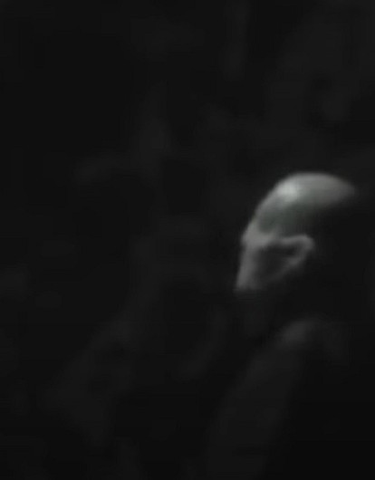 5 странных и пугающих существ, которые попали в объектив камеры (видео)