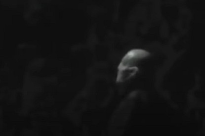 5 странных и пугающих существ, которые попали в объектив камеры (видео)