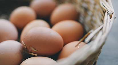 Вес яйца курицы — на что влияет, как определить, зачем знать.