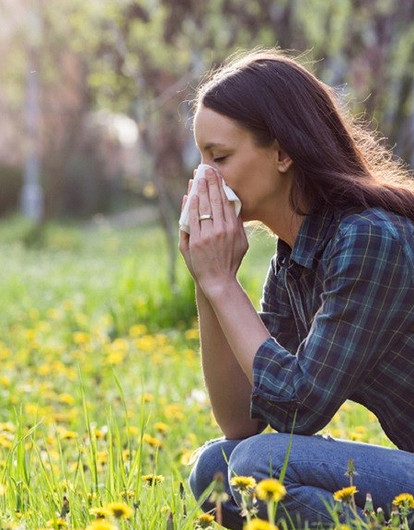 Как жить с поллинозом: календарь цветения и полезные привычки при аллергии на пыльцу